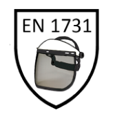 en-17312007