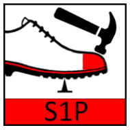 s1p